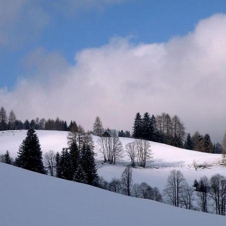 Urlaub Im Zirbenland Villa Obdach ภายนอก รูปภาพ