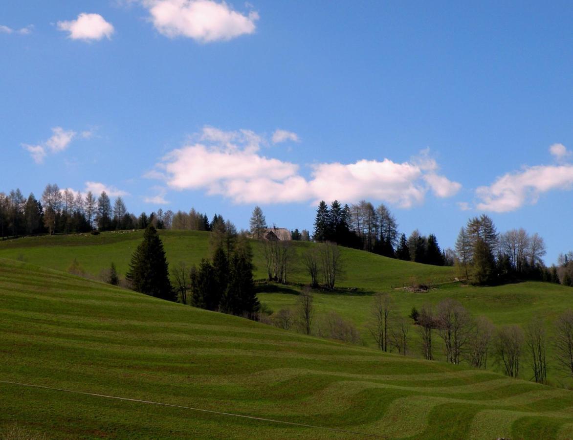 Urlaub Im Zirbenland Villa Obdach ภายนอก รูปภาพ