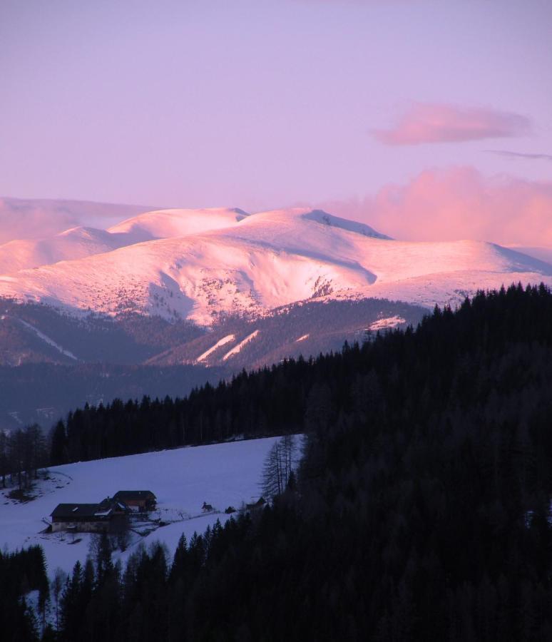 Urlaub Im Zirbenland Villa Obdach ภายนอก รูปภาพ