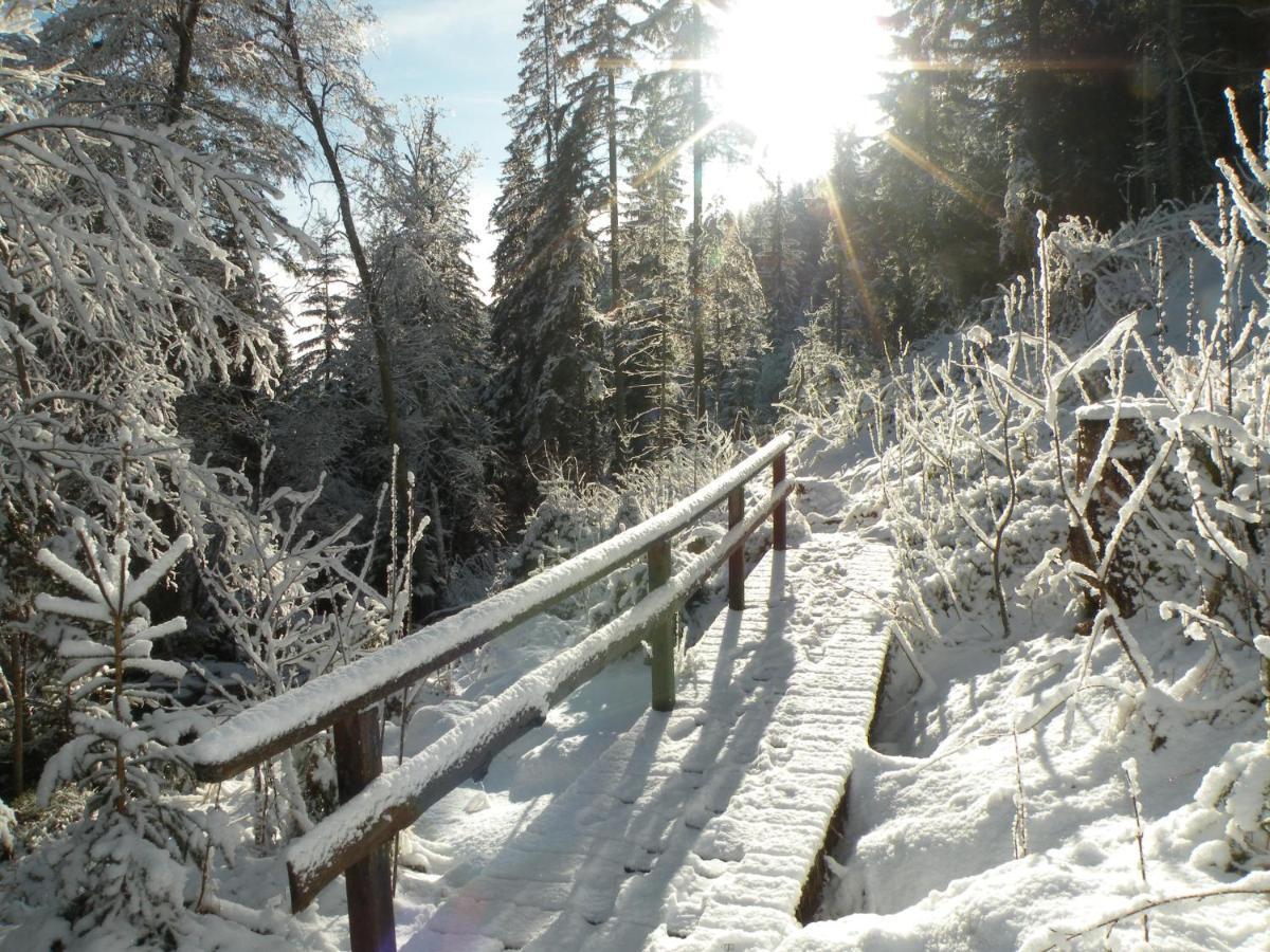 Urlaub Im Zirbenland Villa Obdach ภายนอก รูปภาพ