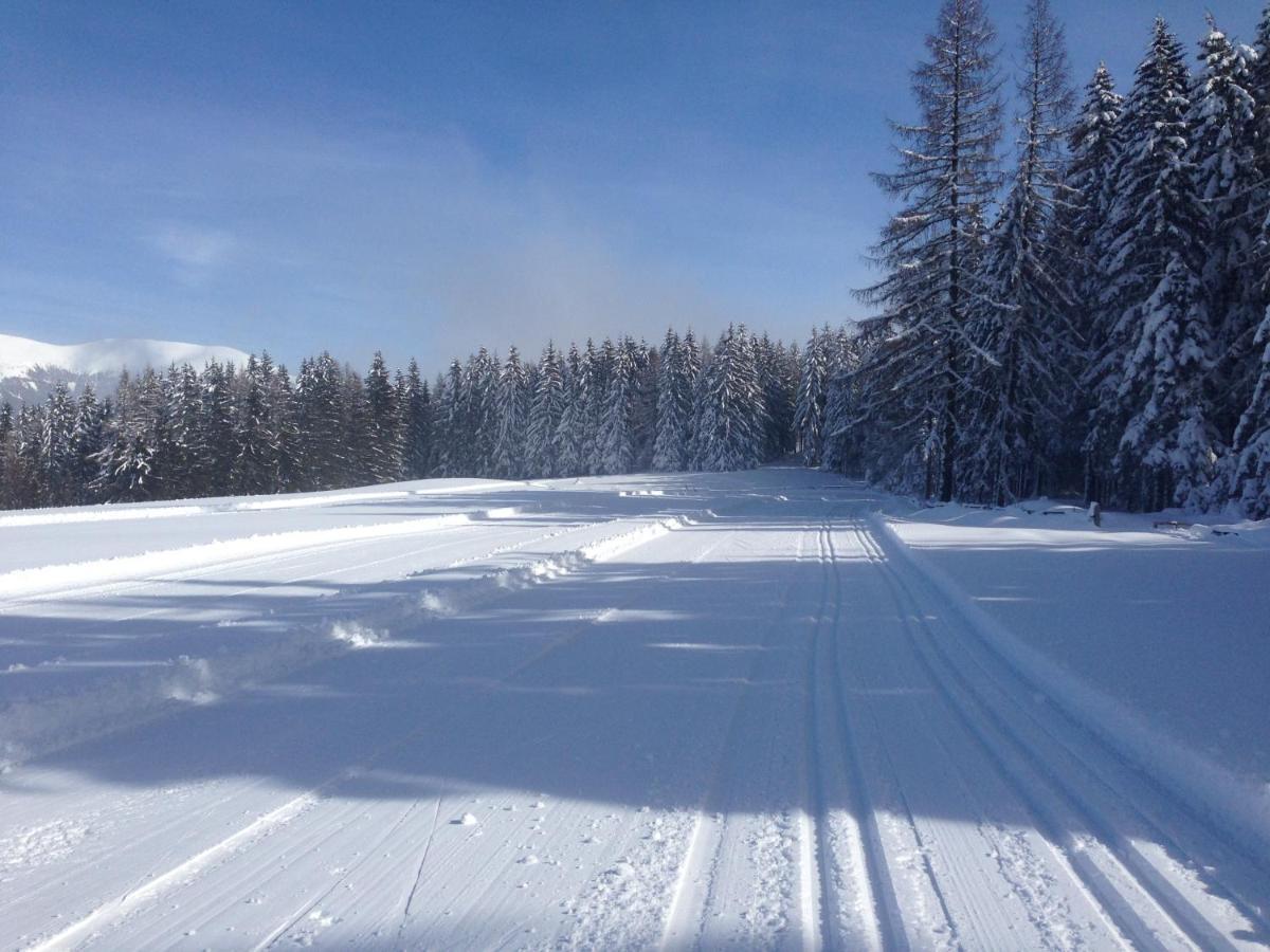 Urlaub Im Zirbenland Villa Obdach ภายนอก รูปภาพ