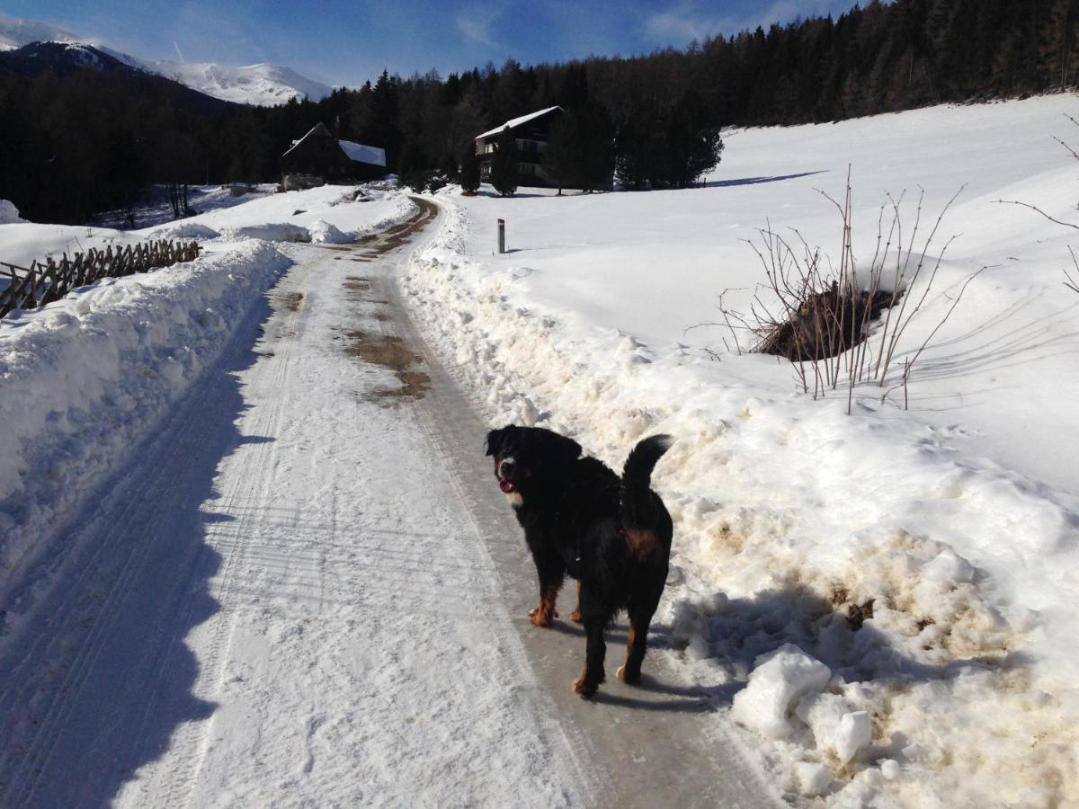 Urlaub Im Zirbenland Villa Obdach ภายนอก รูปภาพ