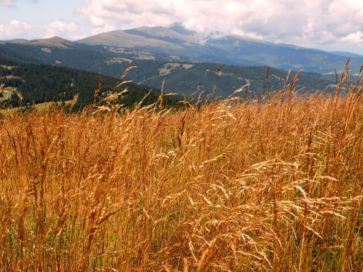 Urlaub Im Zirbenland Villa Obdach ภายนอก รูปภาพ