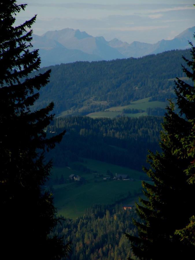 Urlaub Im Zirbenland Villa Obdach ภายนอก รูปภาพ