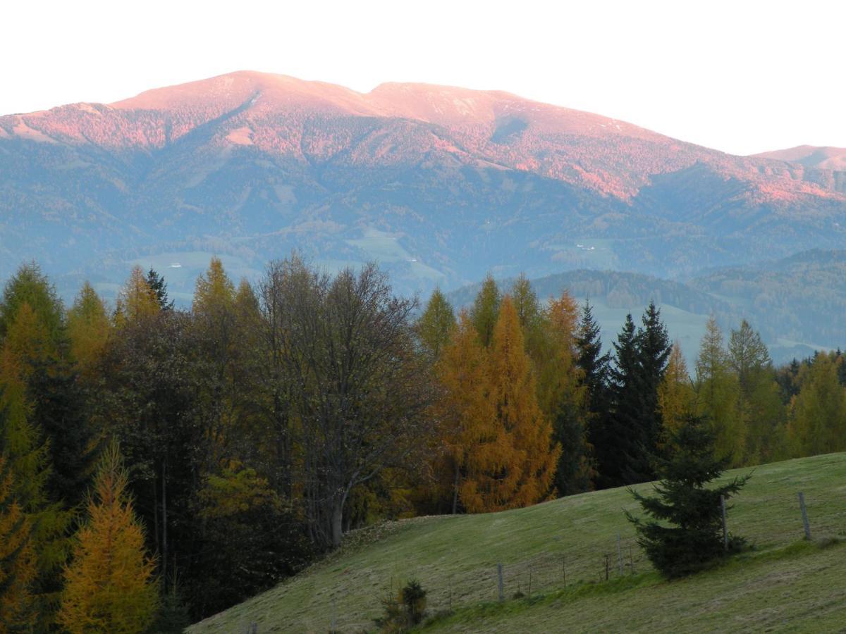 Urlaub Im Zirbenland Villa Obdach ภายนอก รูปภาพ