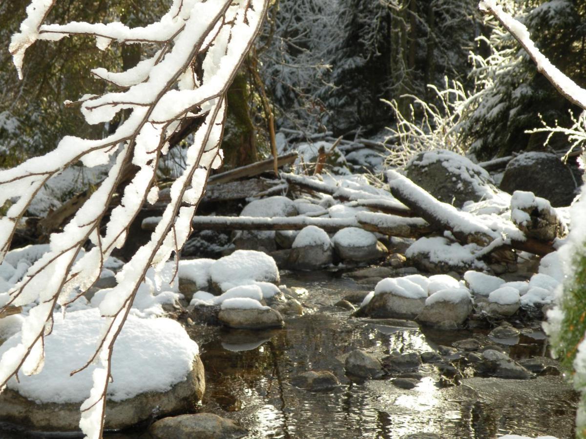 Urlaub Im Zirbenland Villa Obdach ภายนอก รูปภาพ