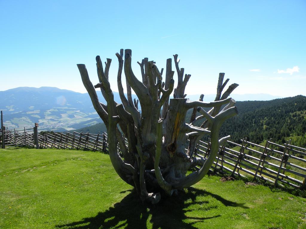 Urlaub Im Zirbenland Villa Obdach ภายนอก รูปภาพ